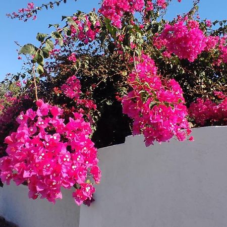 La Casa Del Nonno Bed and Breakfast Milazzo Buitenkant foto