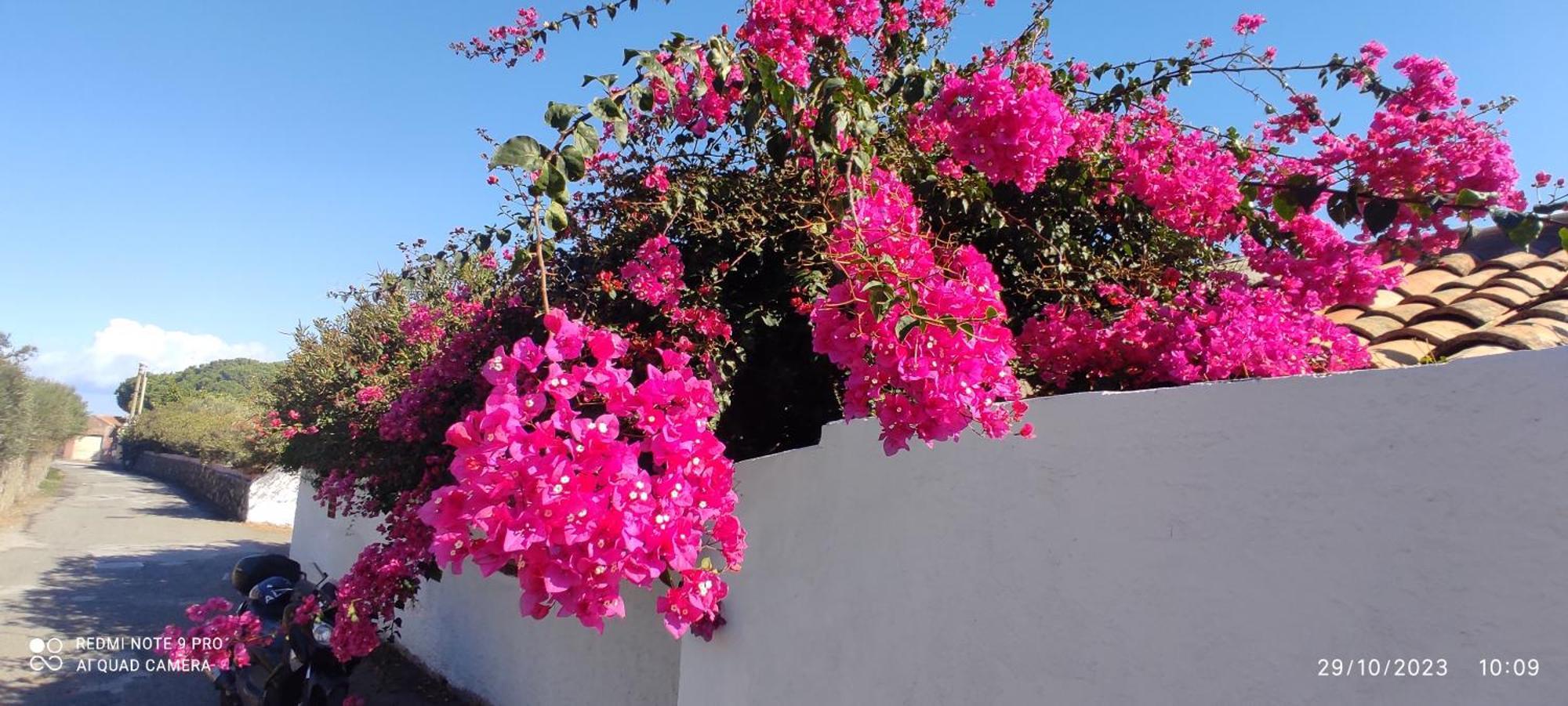 La Casa Del Nonno Bed and Breakfast Milazzo Buitenkant foto